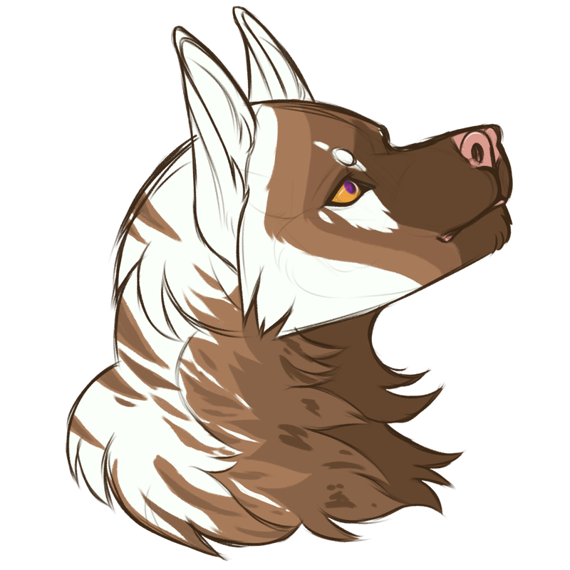 sketchcomm6-tp.png