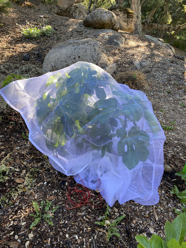 62934DE8-AF11-4AD5-82BF-A6FB161C5E77