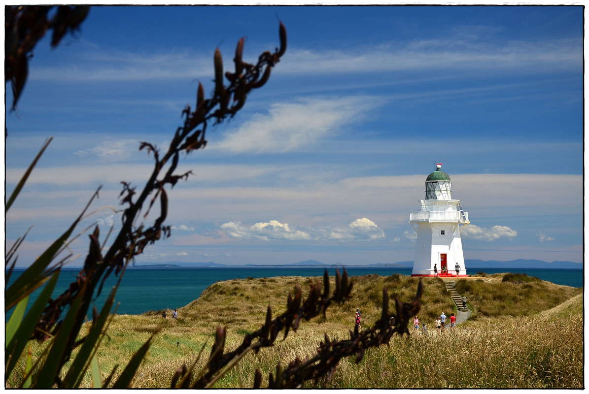 ¿Lo mejor de la isla Sur en 9 días? (Navidad 2018) - Escapadas y rutas por la Nueva Zelanda menos conocida (27)