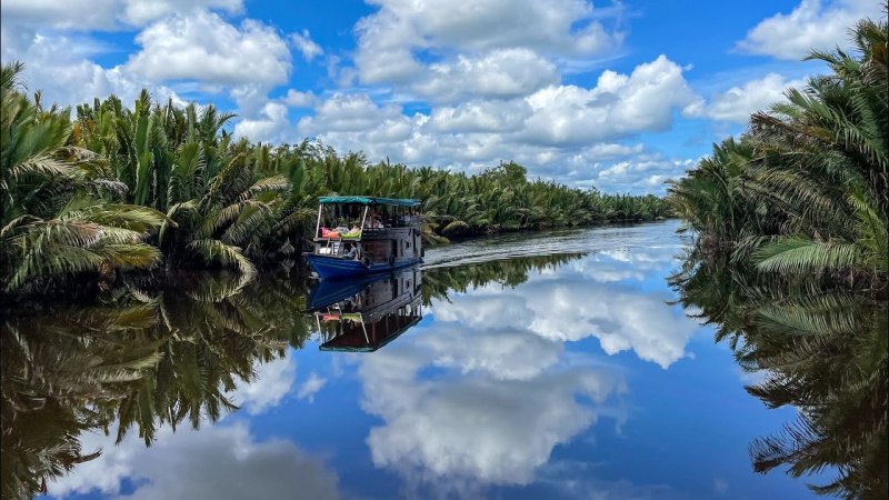 borneo orangutan tour