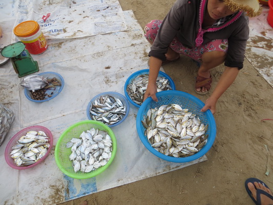 [Image: IMG-6317.jpg]