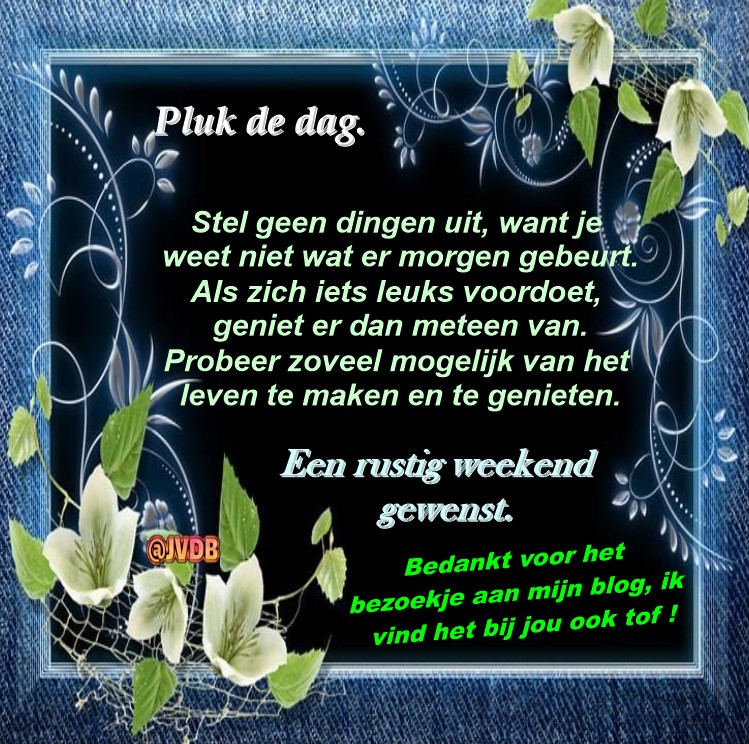 Weekend-blog-3
