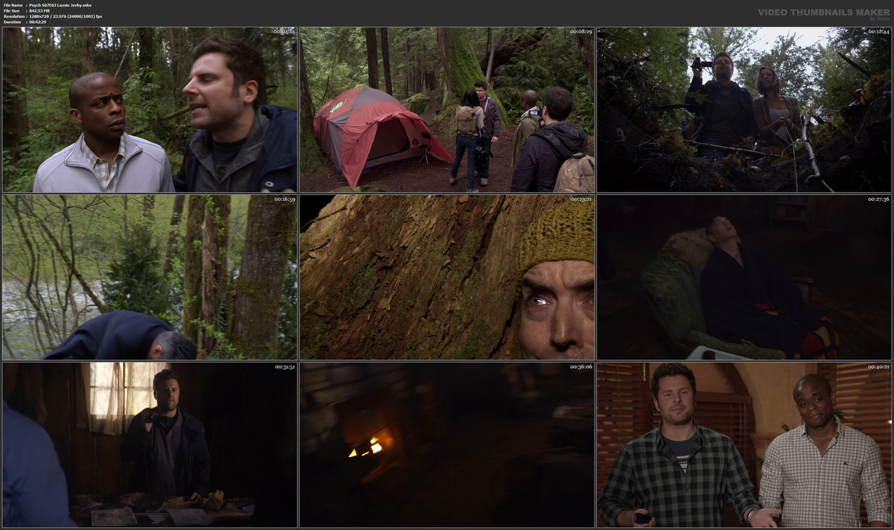 Psych S07E03 Lassie Jerky.mkv