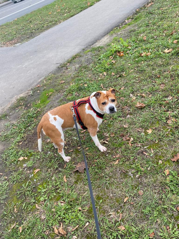 08C8DAFF-A7D7-4E03-94A2-F4BD7D784D6C