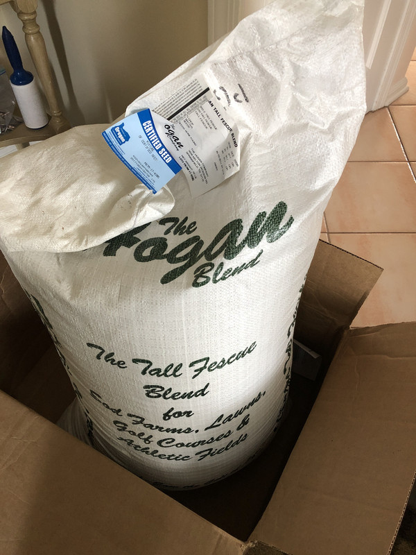 0FE147A2-27A4-4056-A7AE-E60AA4058850