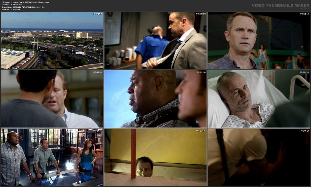 Hawaii Five-O S05E04 Pig in a Blanket.mkv