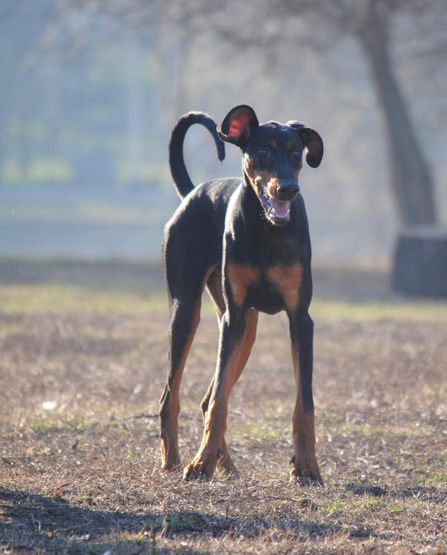 4FD179E5-BC64-4418-A84A-86743DE61941