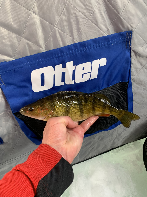 80F849FB-0F17-4F77-9CB9-CBAB18A80525