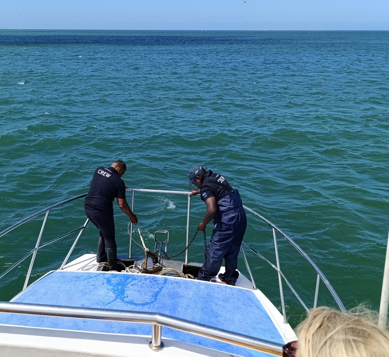 Такая близкая Африка. (ЮАР. 22 дня и 4200 км. Ноябрь-Декабрь)