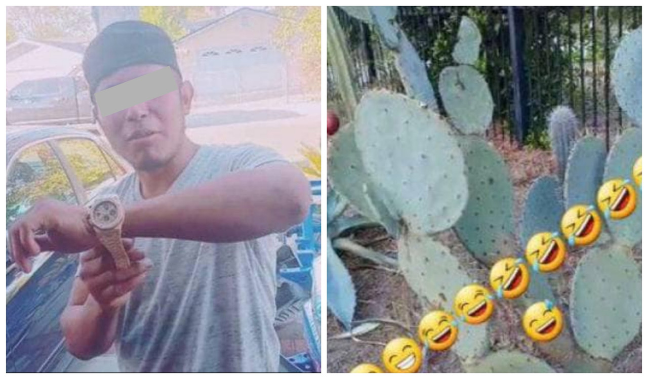 “Parece marranos” TikToker insultó a mexicanos por comer nopales y causó enojo