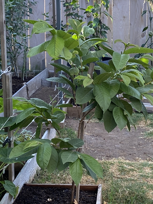 6C02132B-8EB8-45C9-A58F-D08AFCD61FD2