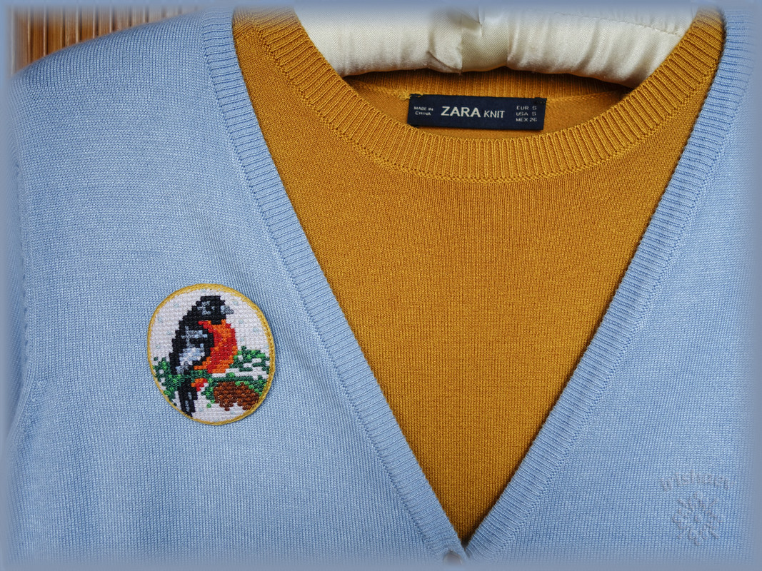 _DSC4100 на одежде