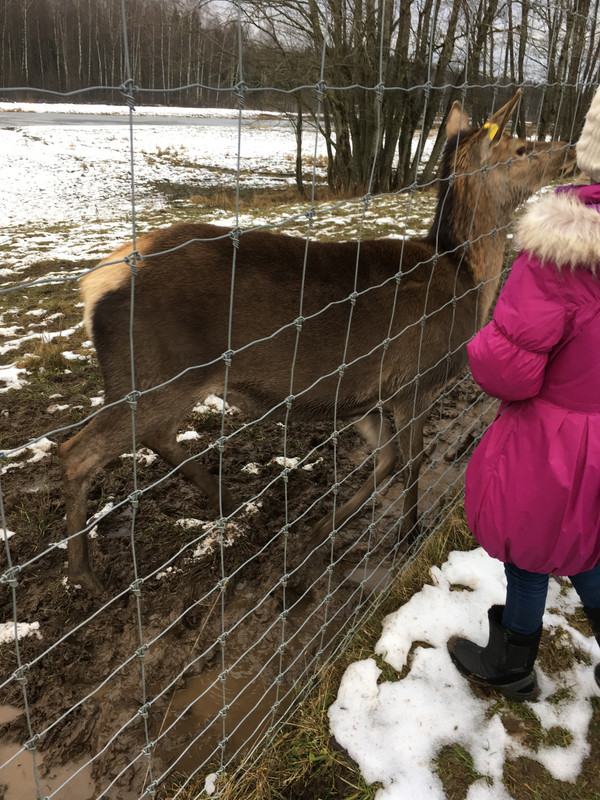 74234879-1934-4E50-BABB-94F3A103CE94