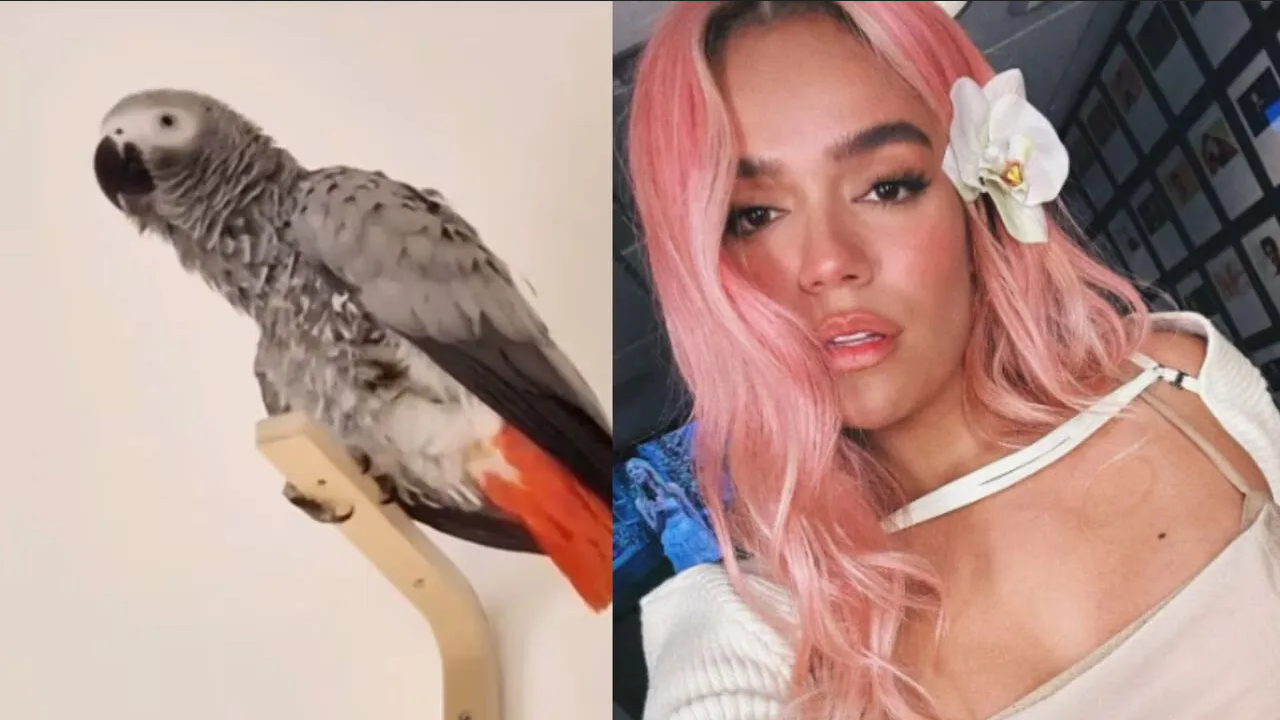 Loro se vuelve viral en TikTok tras declararse fan de Karol G