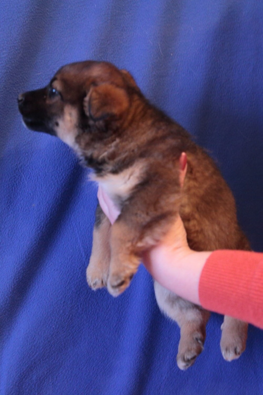 38B87362-4F03-4B52-B015-E44A1D060802