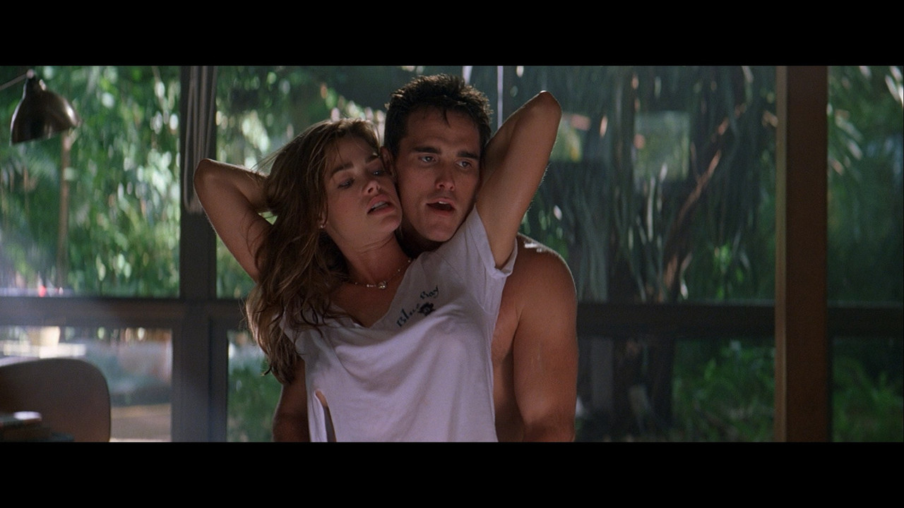 Denise richards nude wild things