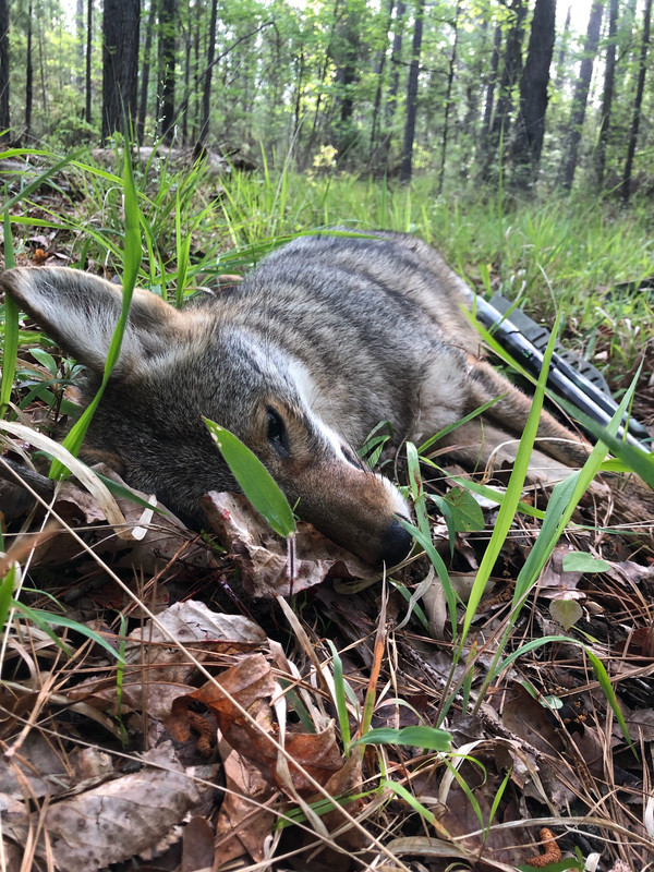 487C3302-E425-4265-9002-C360B961F97B