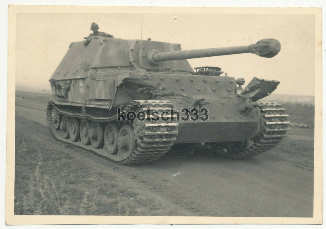 Foto Panzerjäger Tiger (P) Ferdinand  Elefant Sd.Kfz.184 Ostfront Orel Russland