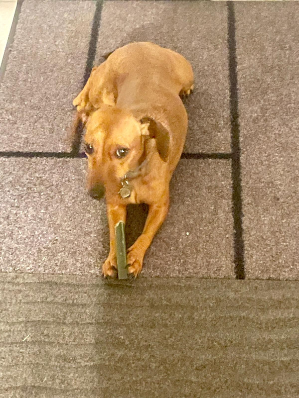 [Image: IMG-20220130-WA0008.jpg]