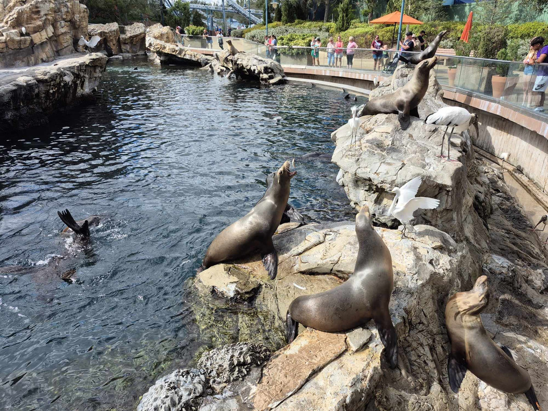 1A04F72C-47E6-4429-84F6-0E27DF5145EA