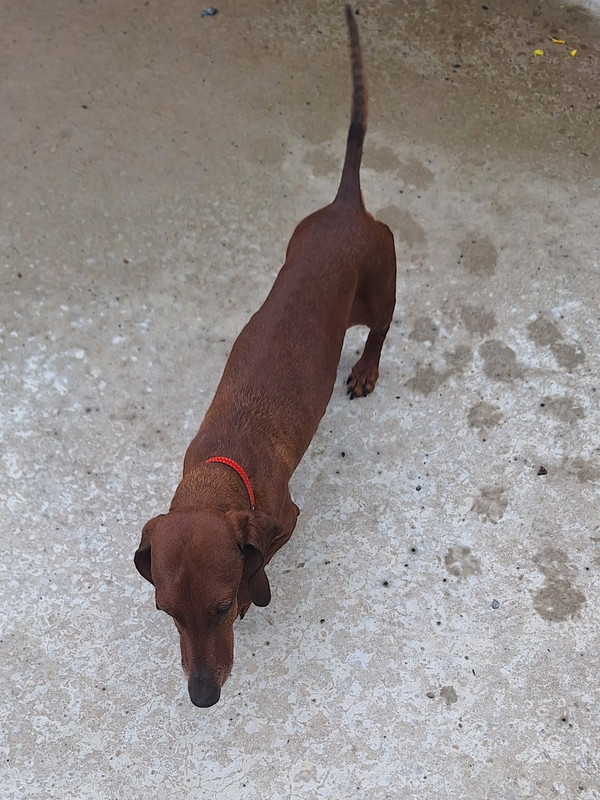 [Image: 20250504-114918.jpg]