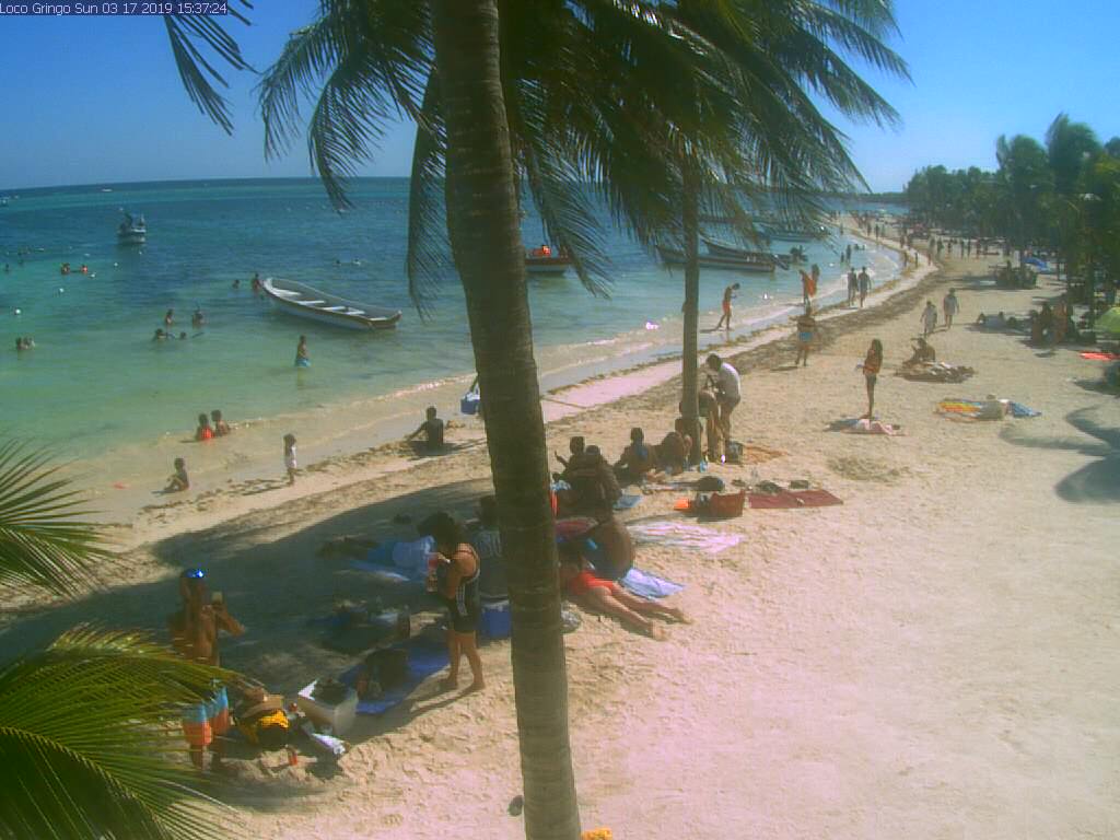 Sargazo en Playa de Carmen ✈️ Foro Riviera Maya y Caribe Mexicano