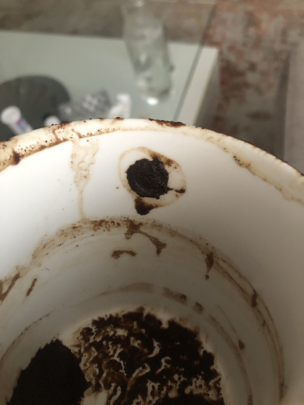 C7CB6CC3-897A-46BE-B115-5FF774CF29A8