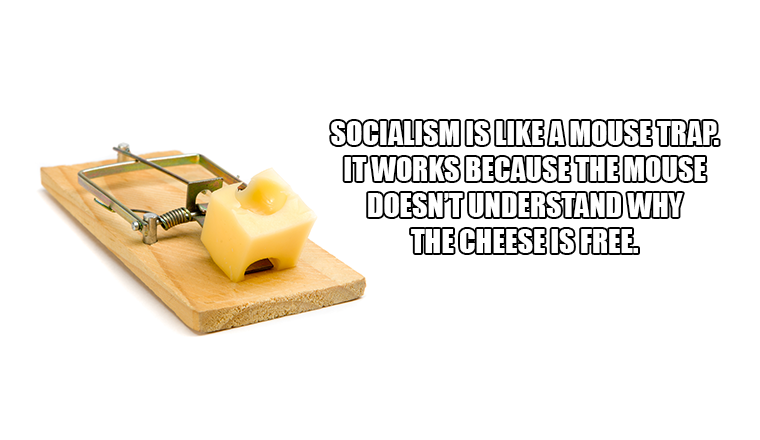 F89-F649-D-412-D-498-C-9781-60-D3-E1989347