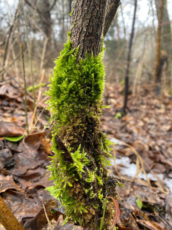 IMG-20230219-WA0023 (1)