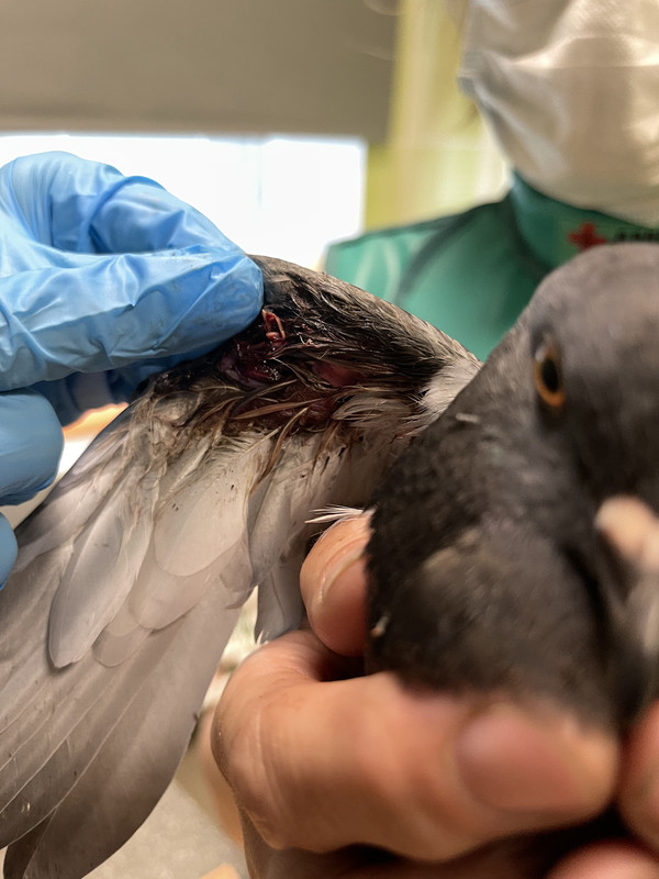 E81D7F38-B9C0-41E2-B48E-719CB8CFBCE3