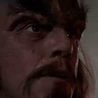 moustaches-in-sff-av7.gif
