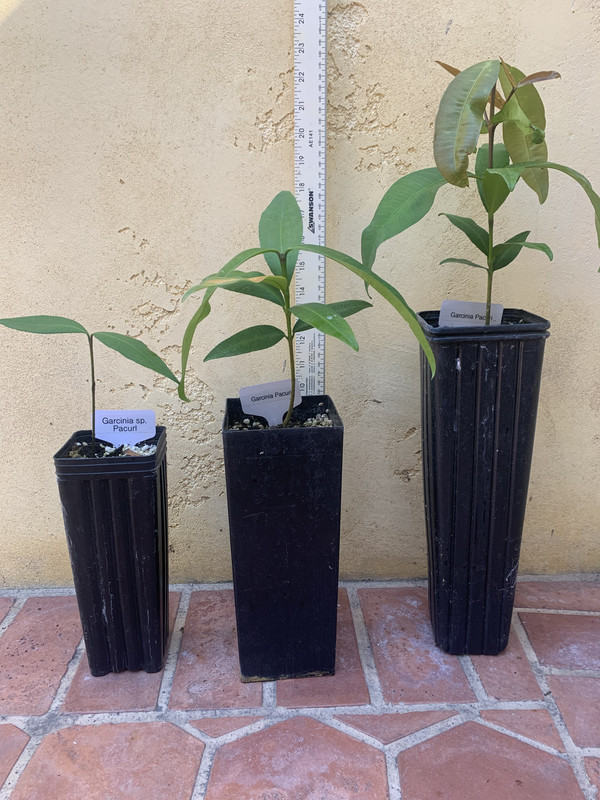 4C0561AE-936A-4B87-A2A8-078D8689787F