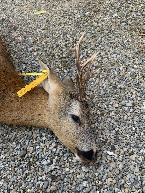 FD33AC31-0715-4F36-B604-A5FDC57E4DCB