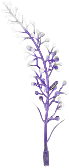 Magic Fairy Garden (111)