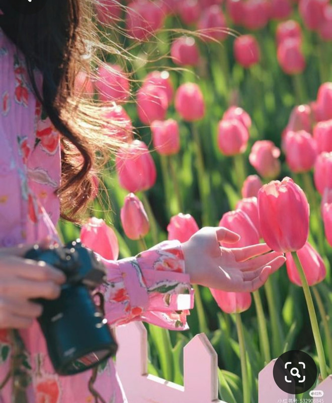 Screenshot_20240331_161956_Pinterest