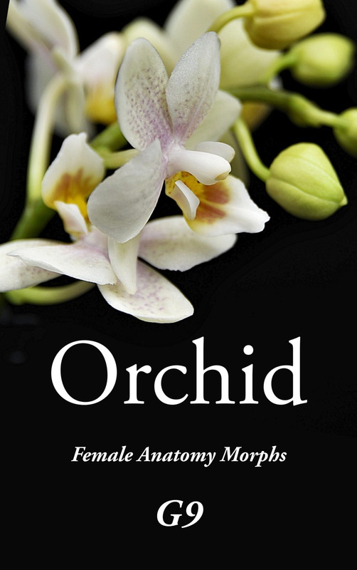Orchid - Genital Morphs for G9F Anatomy Orchid - Genital Morphs for G9F Anatomy