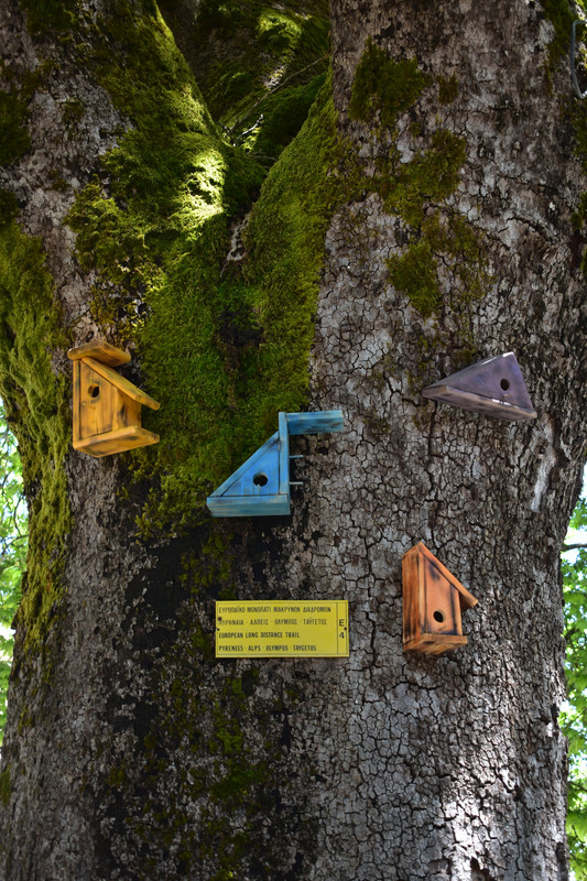 Αθανάσιος Διάκος (11)