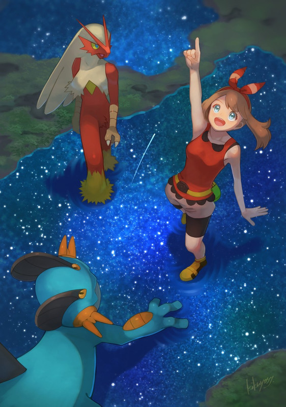 may-blaziken-and-swampert-pokemon-and-1-