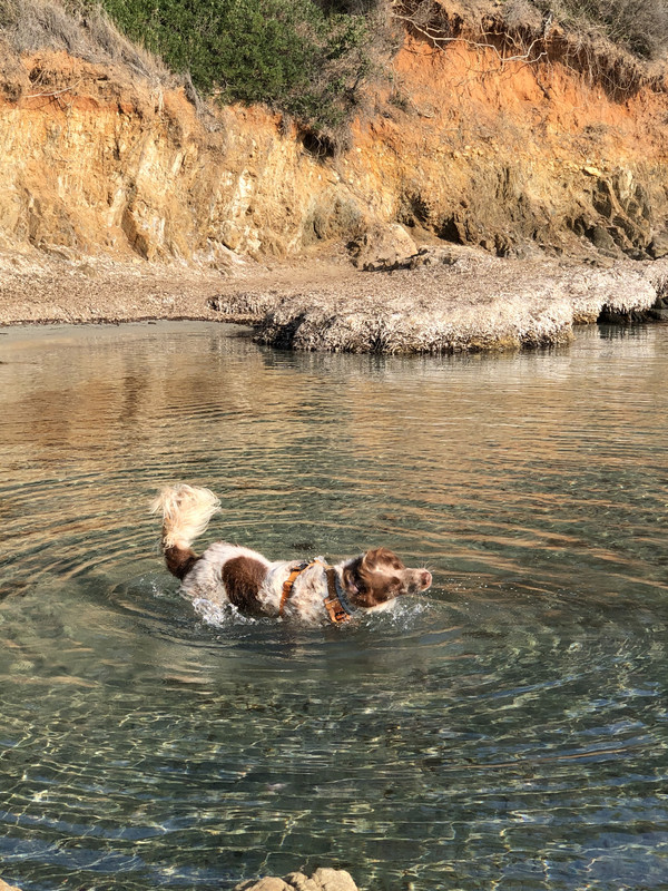 44DF97DF-63E3-4F50-8EEA-7FF8223BFA17