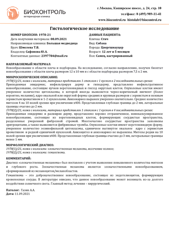 Биопсия — Postimages