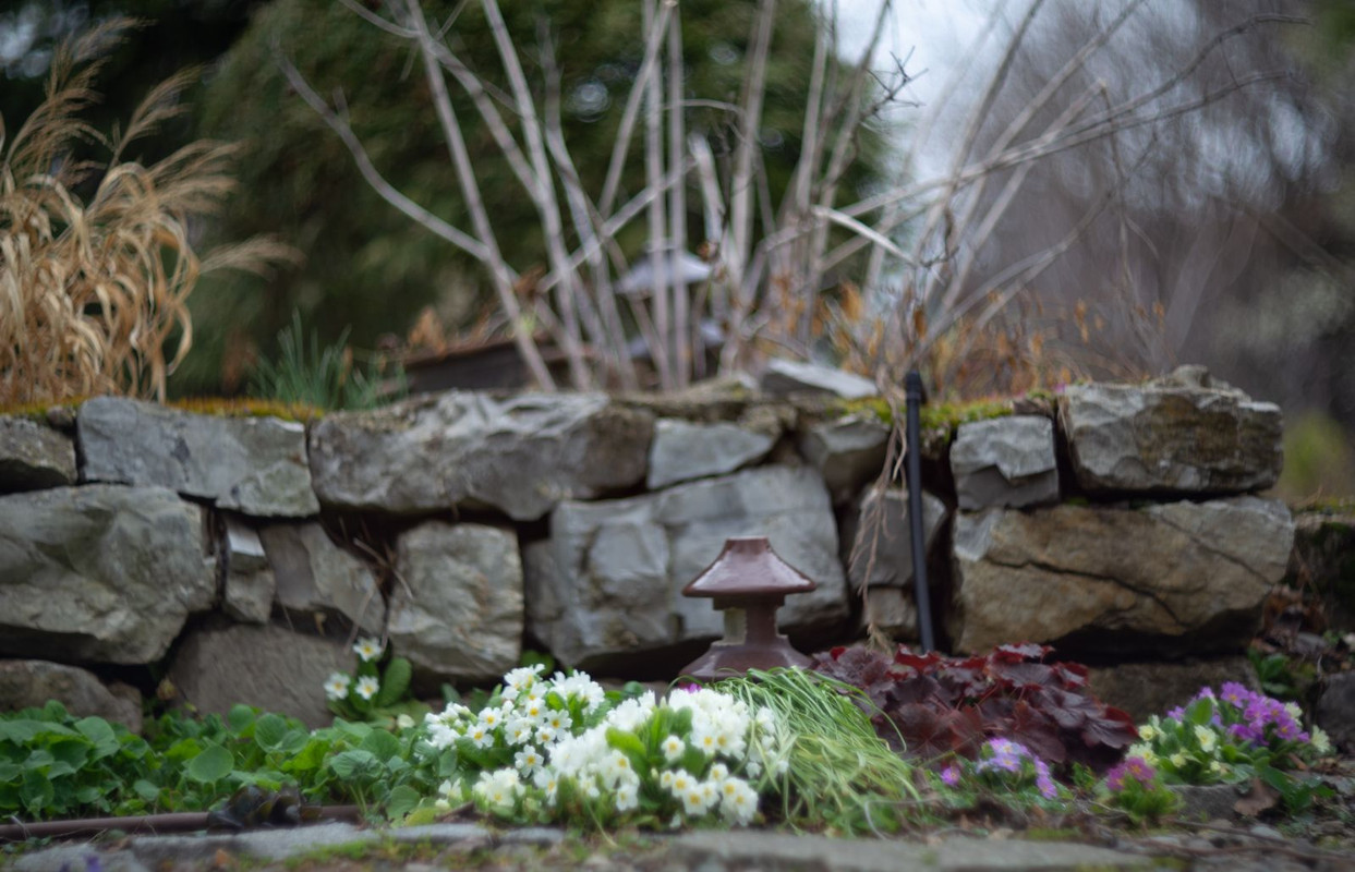 IMG-ef757940d034e8a725b10ce688ded3e4-V