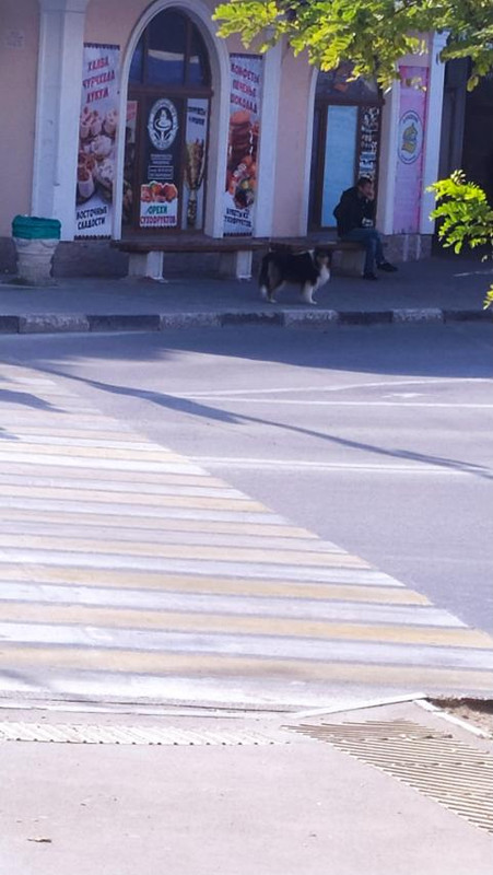 изображение_viber_2022-10-14_10-20-17-266