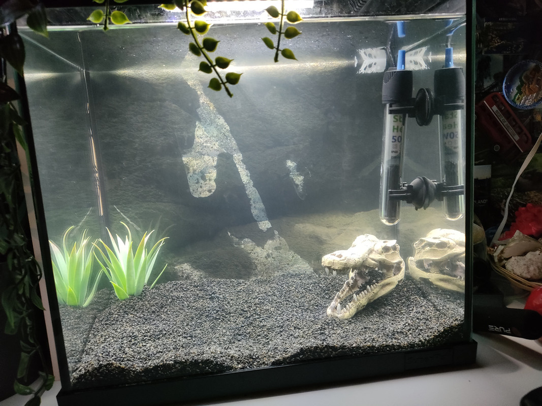 16736783963107862296124012362965