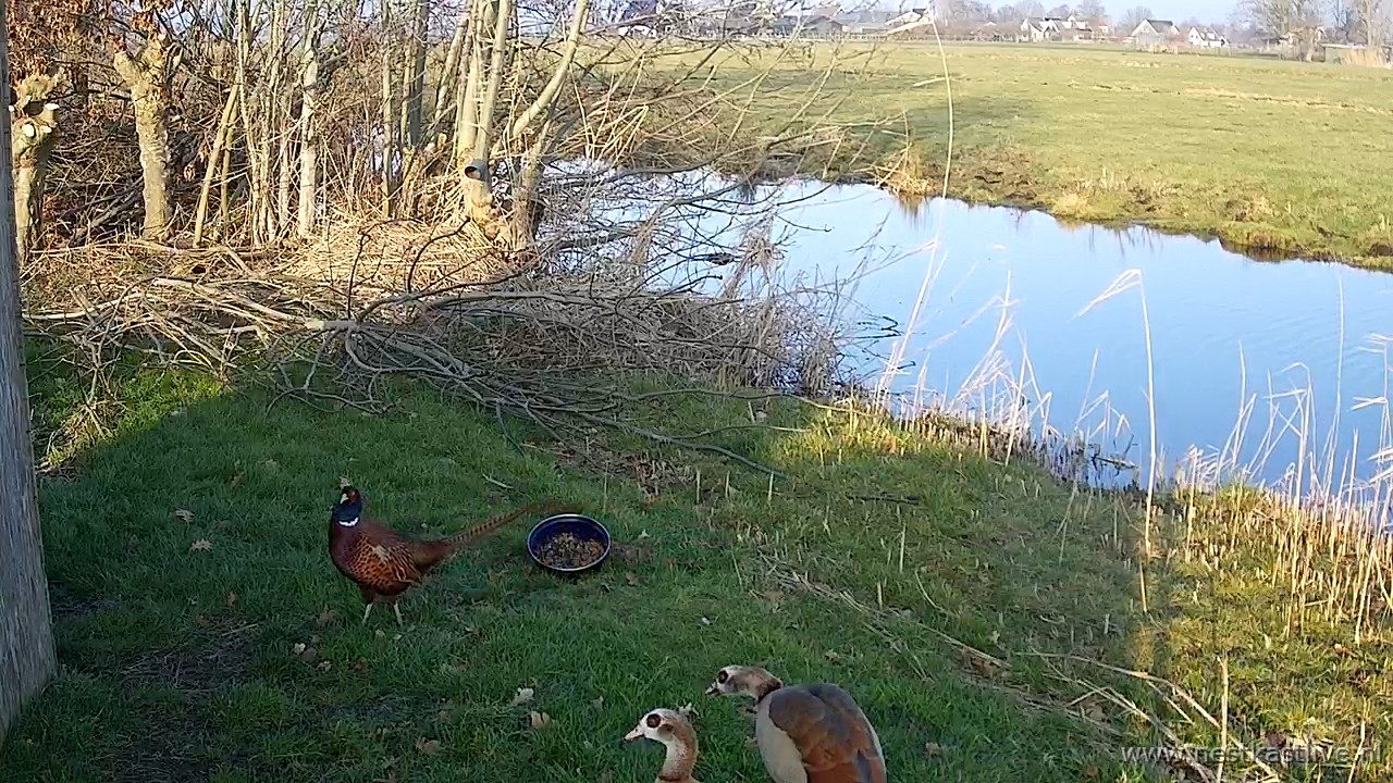 snapshot 2026 01 24T154213 733