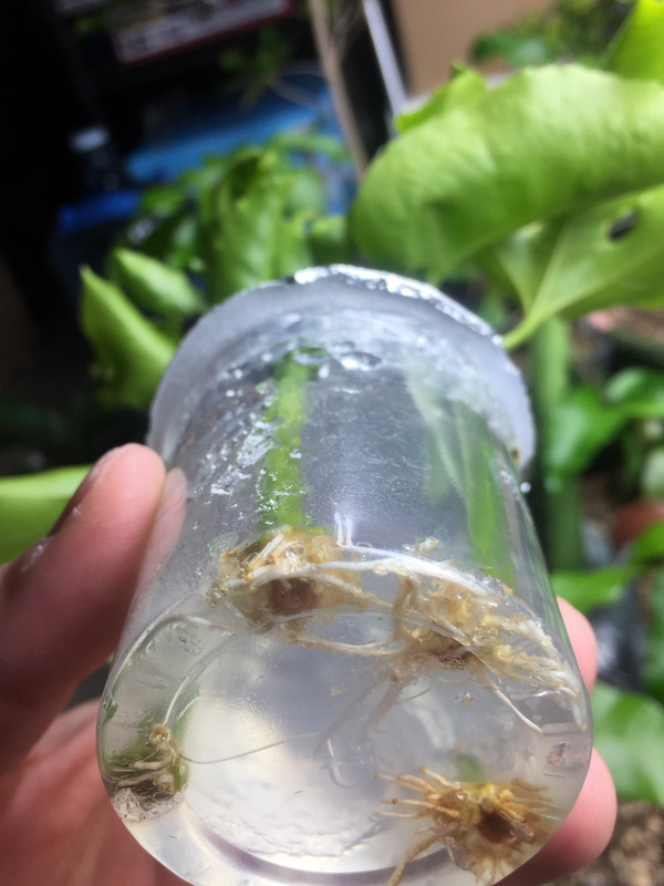 98C125AE-FE33-4813-97C6-0EBAA02AA4B6