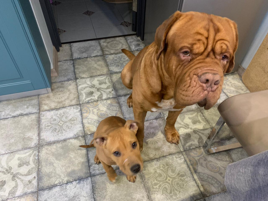 3760AA0A-4676-48AE-BC9E-61EB37B151C3