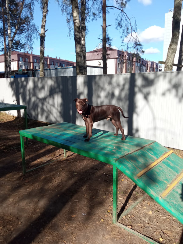 41ED4FC8-4D0D-4A23-930B-4ADBA2F9CFC2