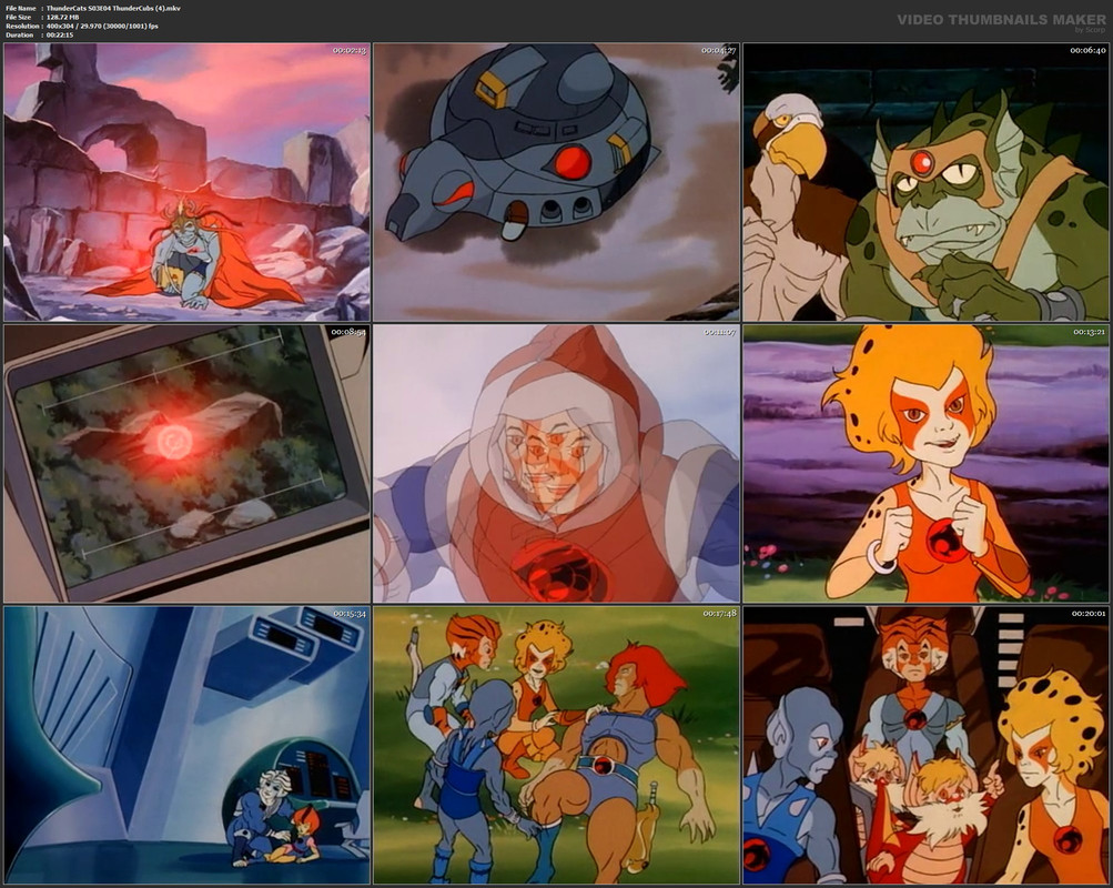 ThunderCats S03E04 ThunderCubs (4).mkv