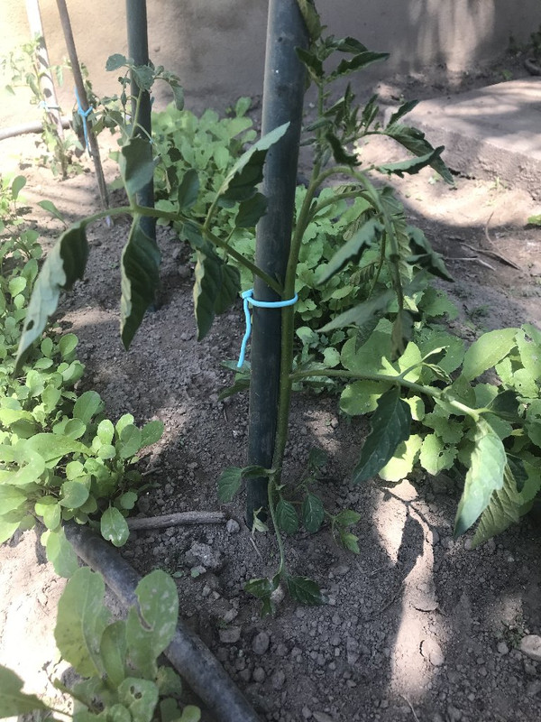 FA329CD5-4D5C-4015-BA4E-8EC7C863DF39