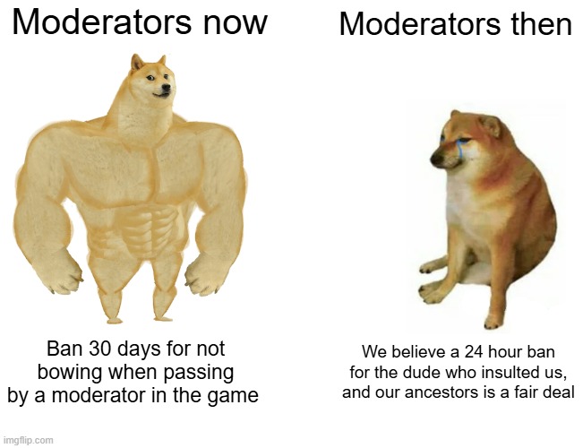 meme-1.jpg